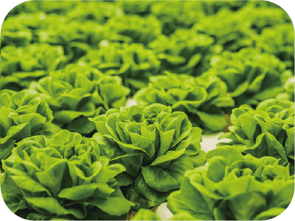 こんな方にぴったり!