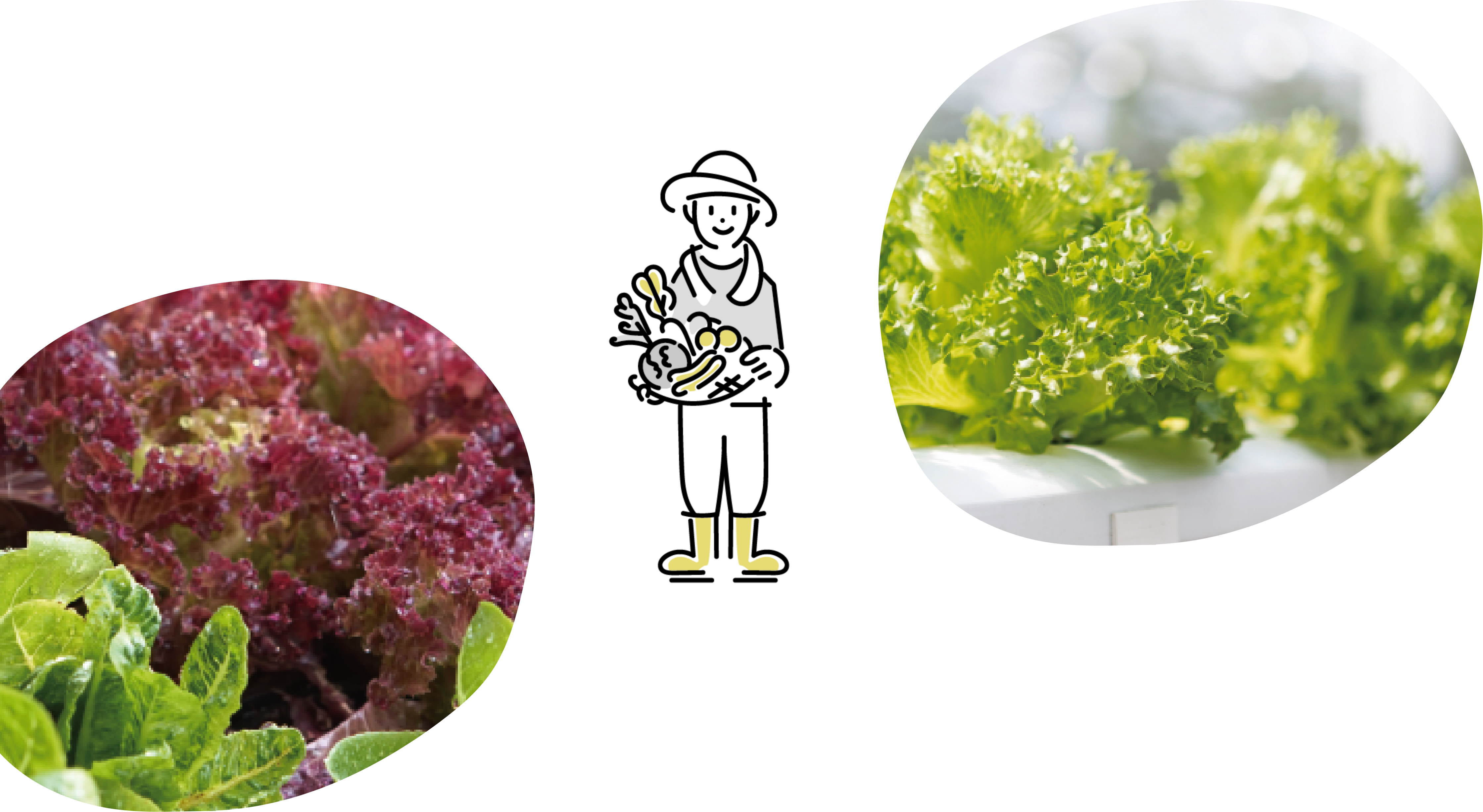 安心安全 社会貢献