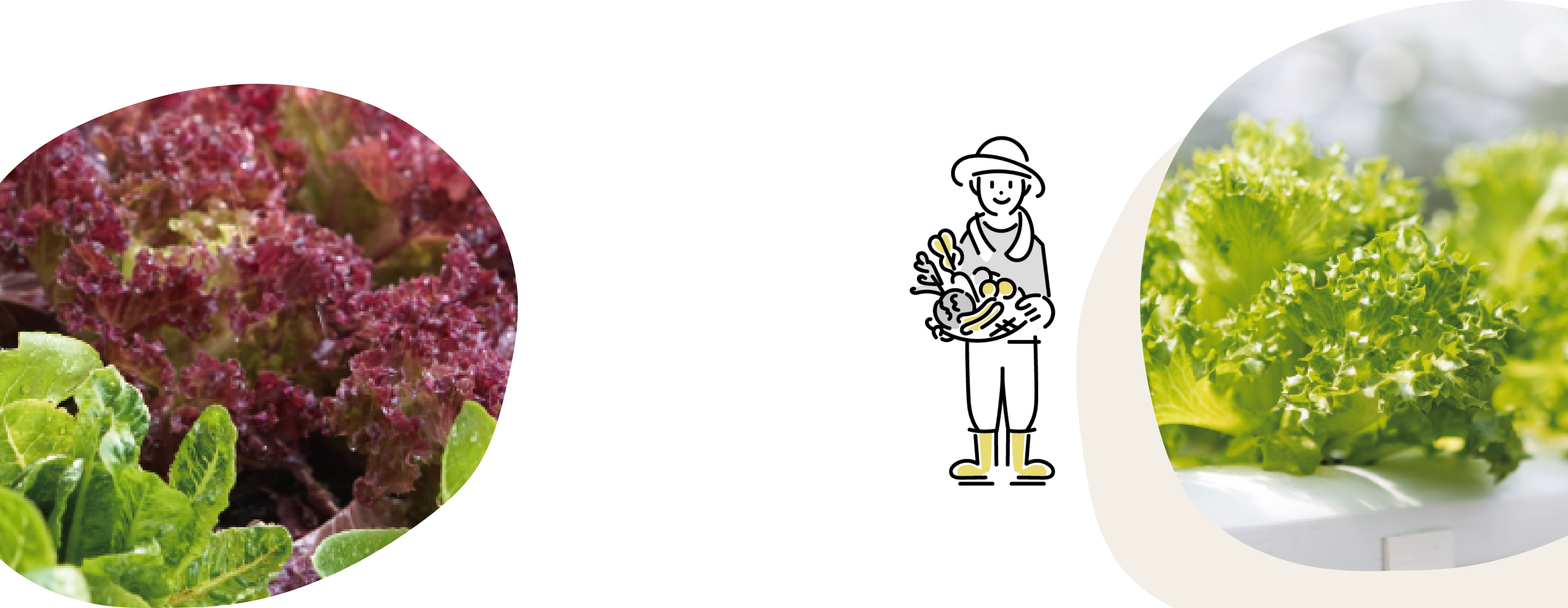 安心安全 社会貢献