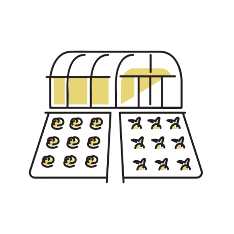 屋内型水耕栽培