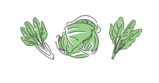 数十種類以上の野菜